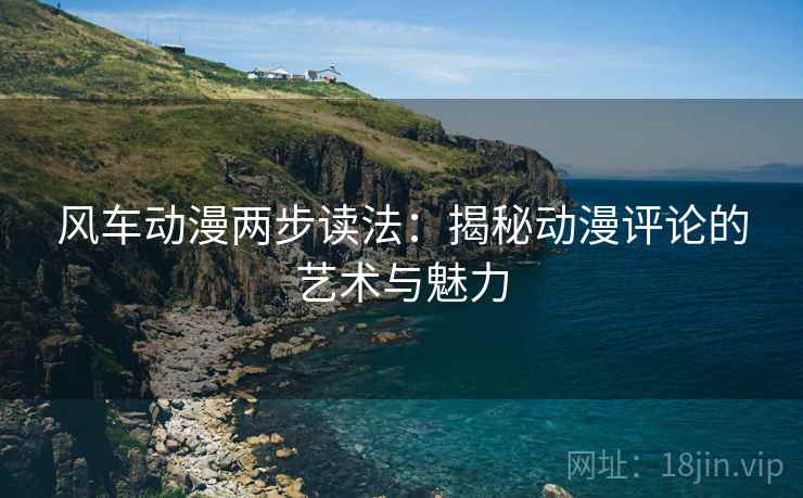 风车动漫两步读法：揭秘动漫评论的艺术与魅力